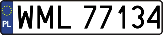 WML77134