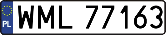 WML77163
