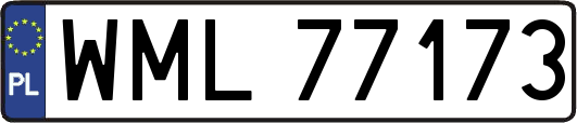 WML77173