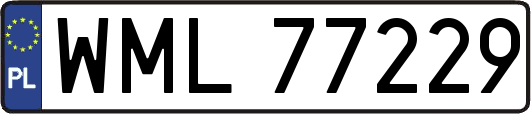 WML77229