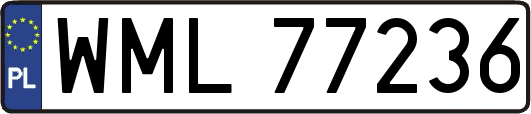 WML77236