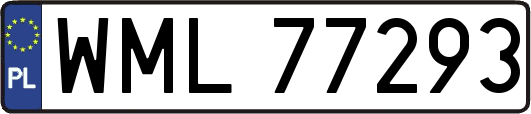 WML77293