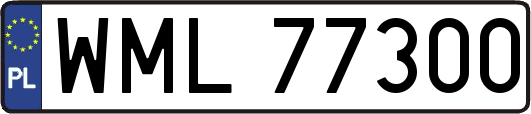 WML77300