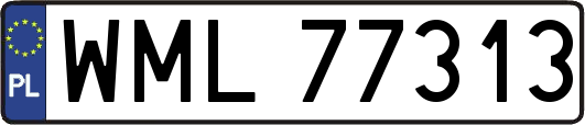 WML77313