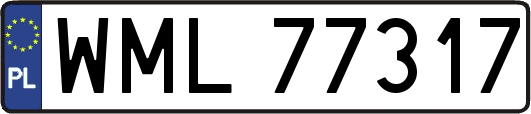 WML77317