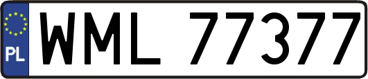 WML77377