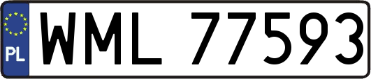 WML77593