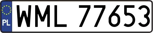 WML77653