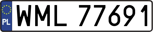 WML77691