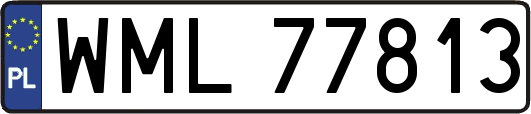WML77813