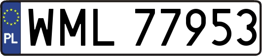 WML77953