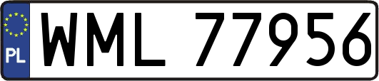 WML77956