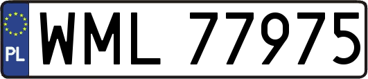 WML77975