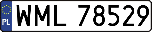 WML78529