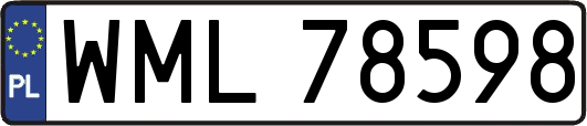 WML78598