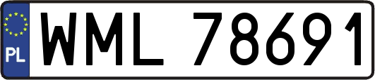 WML78691