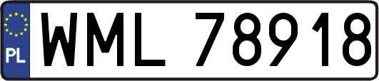 WML78918