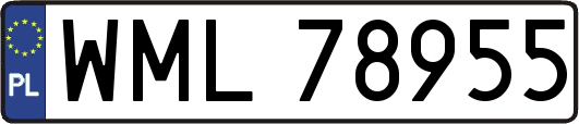 WML78955