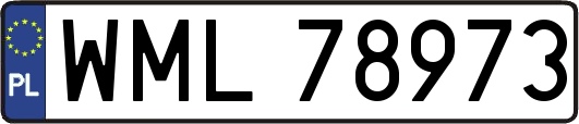 WML78973