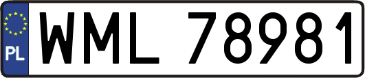 WML78981