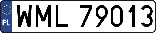 WML79013
