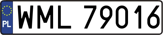 WML79016