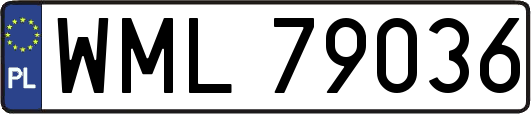 WML79036