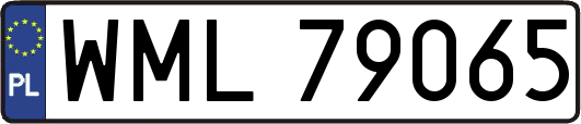 WML79065