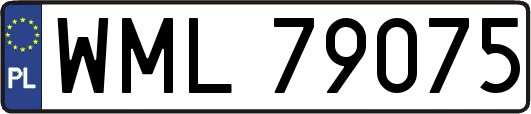 WML79075