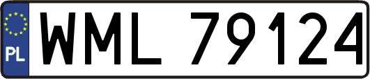 WML79124