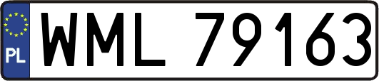 WML79163