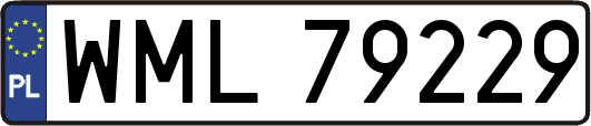WML79229