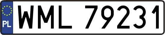 WML79231