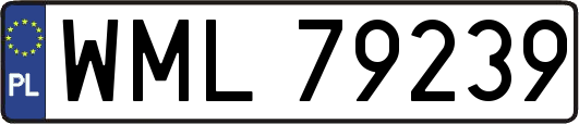 WML79239