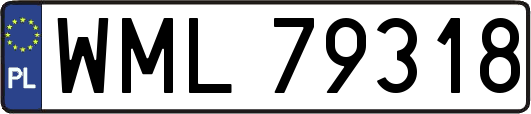 WML79318