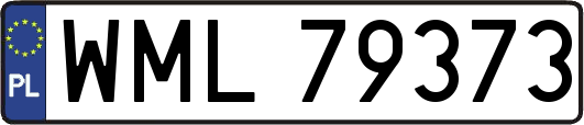 WML79373