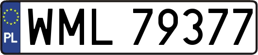WML79377