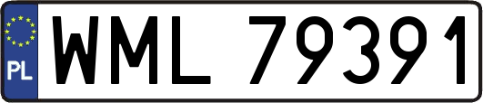 WML79391