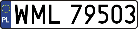 WML79503