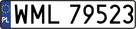 WML79523