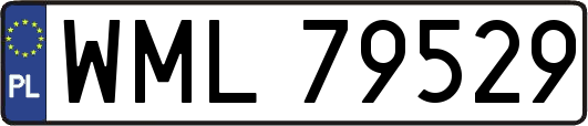 WML79529