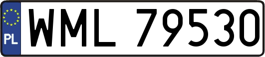 WML79530