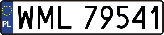 WML79541