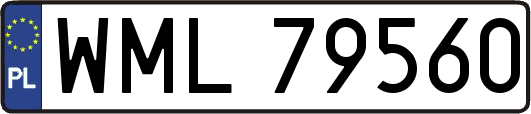 WML79560