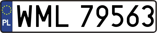 WML79563