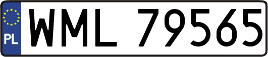 WML79565
