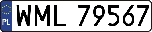 WML79567