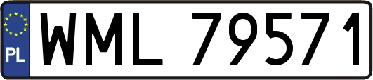 WML79571