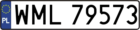 WML79573