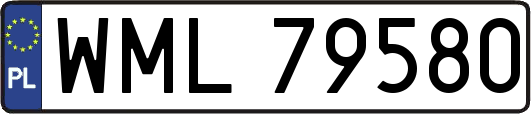WML79580
